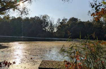 Badischer Neubau-Ruhe-Kunst-Natur - Foto 14