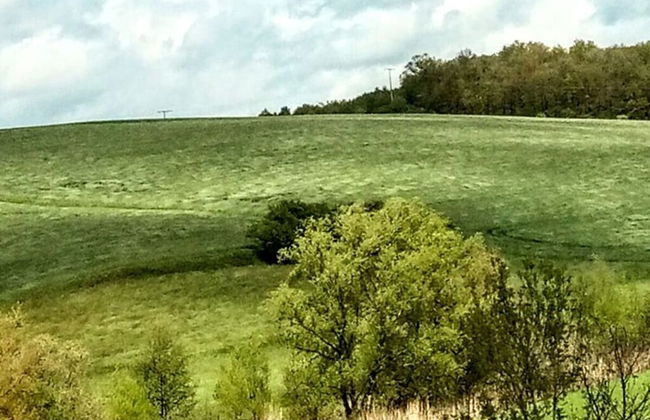 Holiday Apartment Lautertalblick - Photo 39