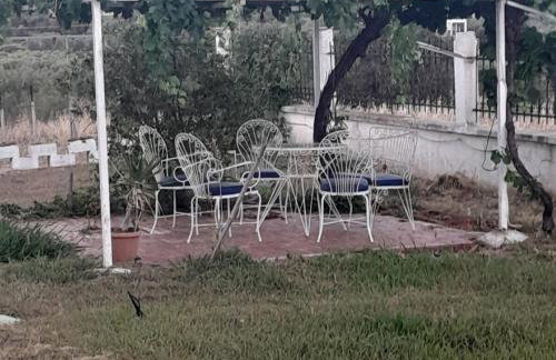 Costa Mama VIlla - Photo 43