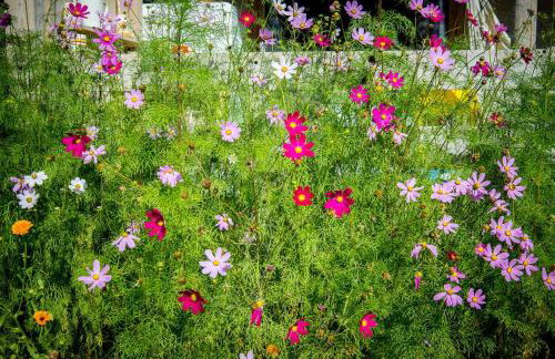 Magia Krutyni - Foto 78