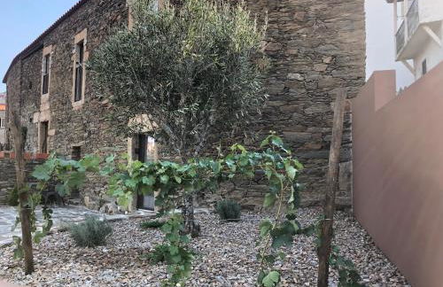 Castas do Douro - Foto 6