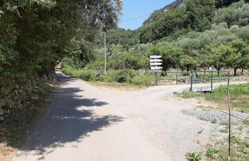 Agriturismo Alveare - Foto 30