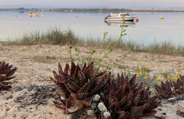 Casa da Ria - Foto 16