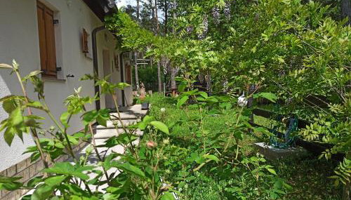 Plitvice Studio Apartments - Foto 4, Garden