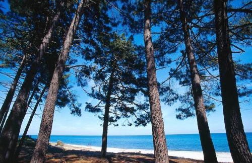 Campo Vecchio Dracena et Piscine - Foto 33