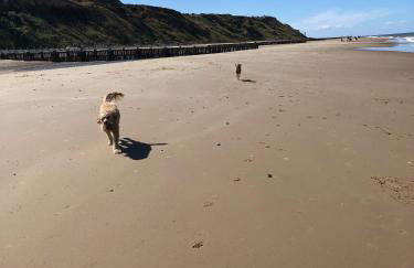 The Lookout - Foto 50