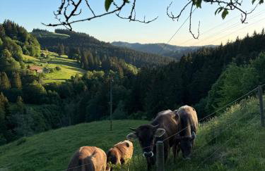 Alpe Sonnenruh - Foto 28