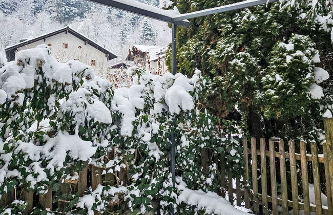 Dr.Steiner - Foto 19