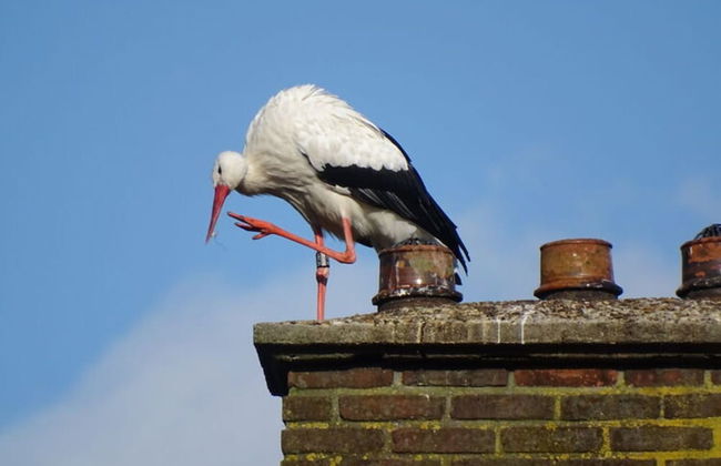 Group Home in Giethoorn With Waterside Terrace - Photo 22