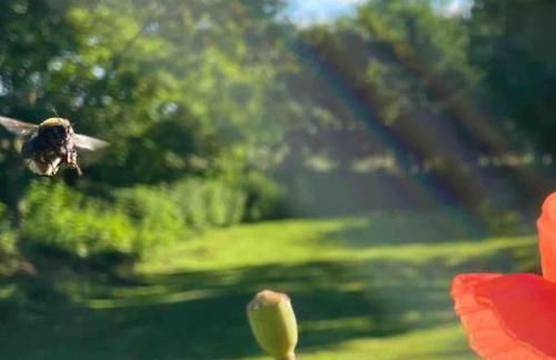 Ferienwohnung mit Luxusbad, Terrasse Ostseenähe - Foto 20