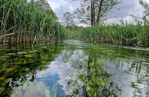 Dom wakacyjny w Lubianie - Foto 24