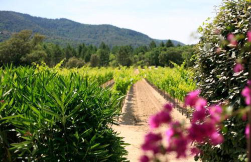 La Bastide - Foto 54