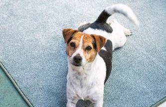 Oak Tree Annex Keppel Gate B & B - Foto 30