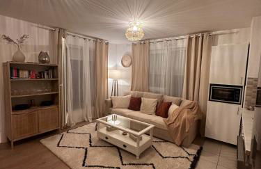 Cozy appartement situé à 10 min de aéroport de ROISSY CDG situé a 1 min à pied de la gare RER direction Paris centre 20min - Foto 2