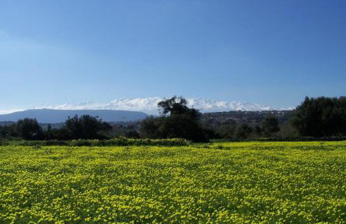 Manolo s olive farm, apartment with seaview - Foto 42