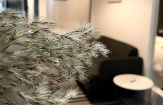 ZeFlowers Home Stay - Foto 6