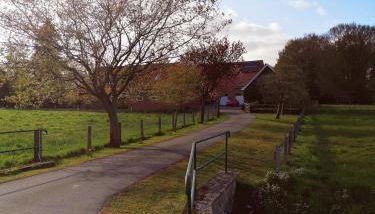 Am Waldrand - Foto 2