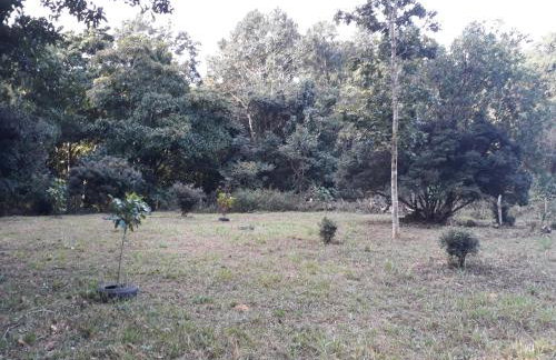 Chalé Veredas e Buritis - Foto 53