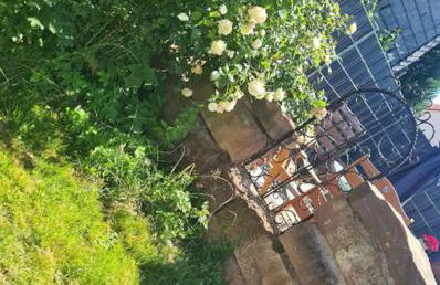 Gemütliche Wohnung in Allendorf Rennertehausen - Foto 9