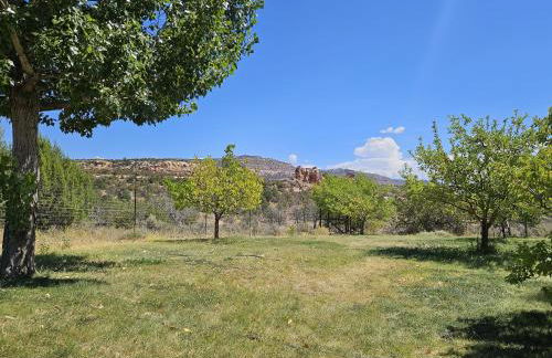 Guest House - Foto 20