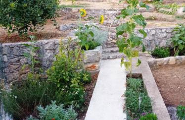 Apartments with parking space Mrljane - Pasman - 20056 - Photo 15