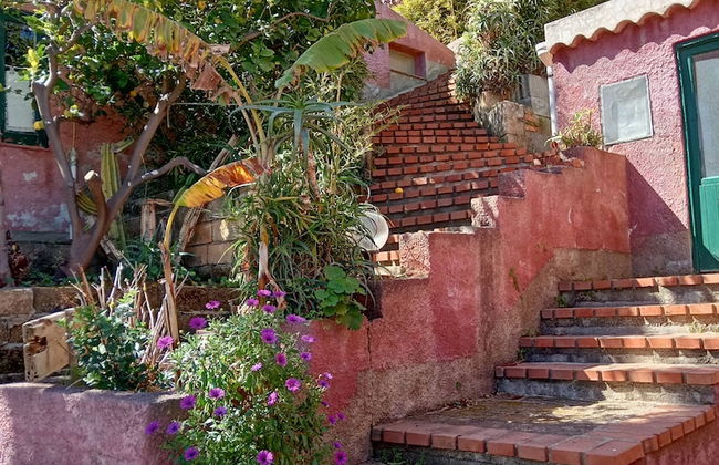 Agriturismo Monte Alto - Photo 26