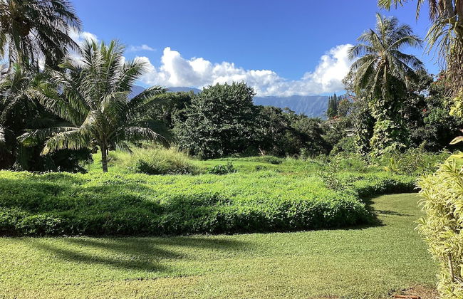 Alii Kai II 10A - Foto 23