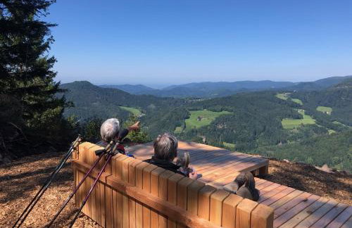 Apartment Sonnenglück im Schwarzwald with Panoramaview, Terrace, 3 Bedrooms - Foto 25