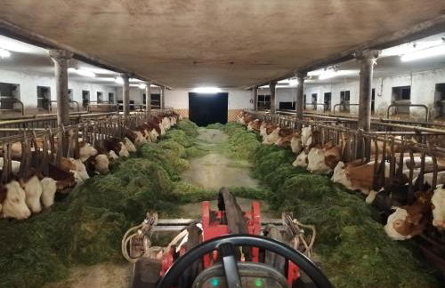 Ferienhof Landhaus Michael - Foto 59