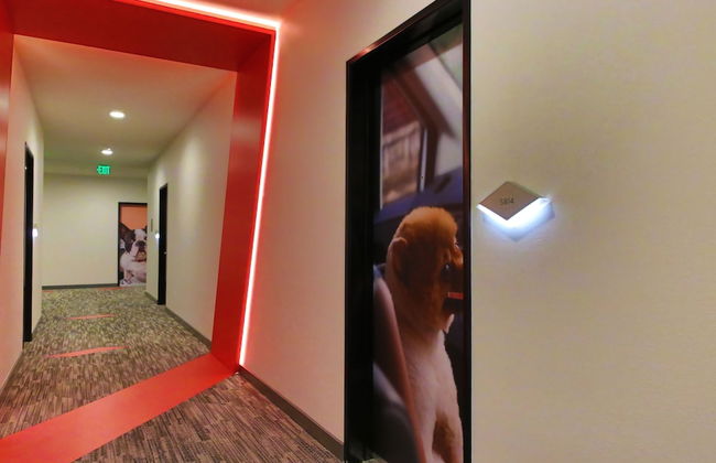 Domicile Suites at Marina SLU - Photo 54