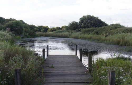 Bungalow - Beaurepaire Beach House - Foto 30