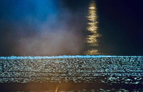 Una pineta sul mare - Riviera dei tramonti - Spiaggia a 300 m - Foto 25