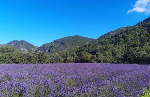 Camin'hôtes Drôme Spa Soleil Couchant - Photo 23