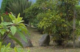 Faial Cottage - Foto 19