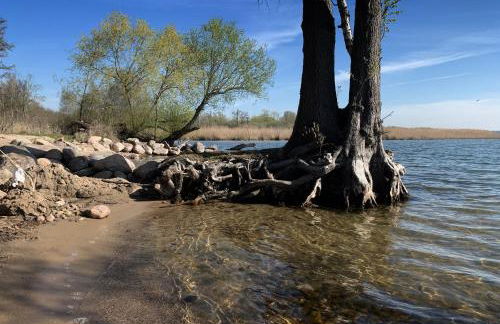 Weisses Haus Plau - Foto 28