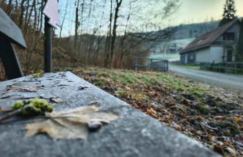 Ferienwohnung Mühlenteich by Hoheisel, Zaubernuss, Parken, Wanderstart, WLAN - Foto 44