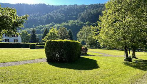 Penthouse Palais Mosel - Photo 4, Garden