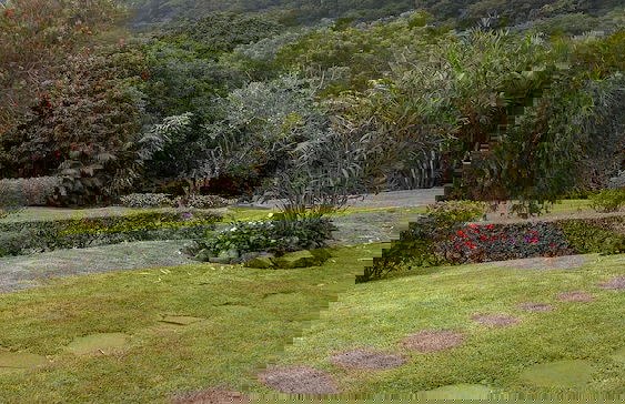 Villa Golondrina - Foto 36