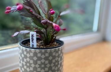 Wee Silverburn - Photo 20