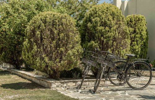 Granny's Cottage - Foto 51