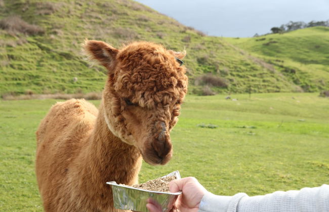 Seafarers Getaway - Photo 34