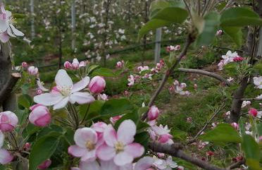 Agritur Coryletum - Foto 9