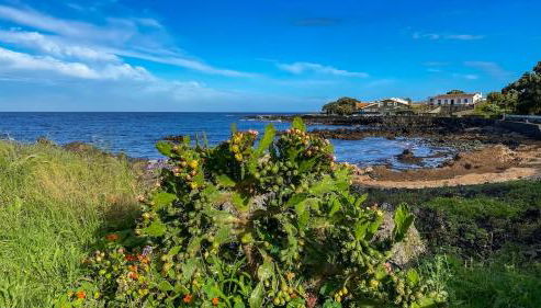 Apartment T2 1st floor Pools Porto Martins - Photo 4