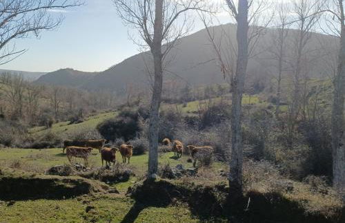 Casa Rural Sensaciones 3 dormitorios con jardin - Photo 32