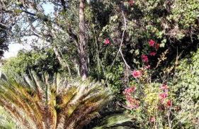 Lucrezia Garden Catania - Foto 3