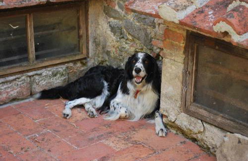 A Casa Del Tosi - Foto 53