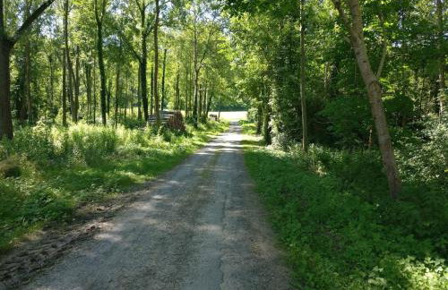 Le Dom’Aisne à Zabeth, lieu simple et paisible *** - Photo 31