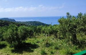 B&B Borgo San Antonio - Foto 8