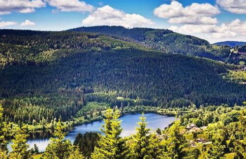 Black Forest Luxury Apartment Bärenhöhle mit Sauna - Foto 33