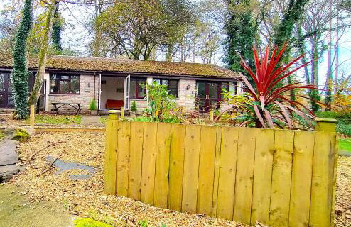 Kerenza Cottage - Families & Pets - Foto 30